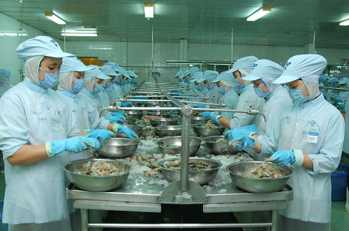 Phương án nào cho xuất khẩu tôm?