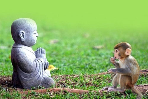 Đừng bao giờ đem hết tâm can, nỗi buồn của mình kể cho người khác