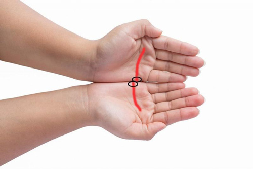 Muốn biết bạn có vận đào hoa hay tình duyên đứt đoạn chỉ cần đặt 2 bàn tay cạnh nhau là sẽ rõ