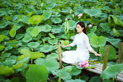 Nước càng nhạt lại càng trong, người càng bình thản thì cuộc sống càng an nhiên