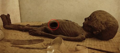 Bằng chứng sốc về sự tồn tại của ''người ngoài hành tinh"