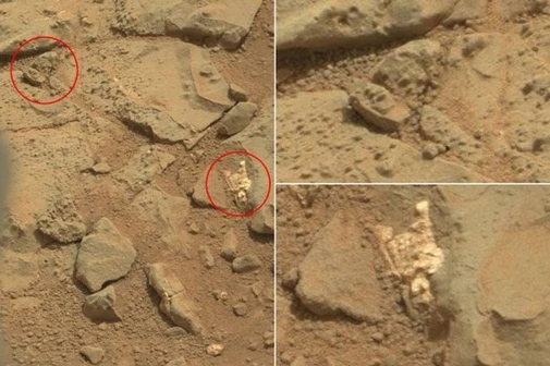 Vật thể lạ giống xương người được phát hiện trên Sao Hỏa.