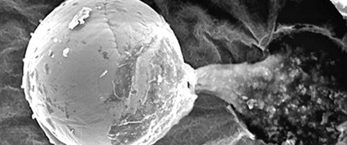 Phát hiện mới về sự tồn tại của người ngoài hành tinh?