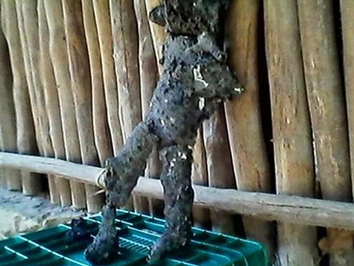 Tìm thấy  xác "người ngoài hành tinh" chết cháy ở Mexico