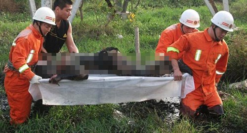 Bí ẩn việc trộm các bộ phận tử thi bị sét đánh