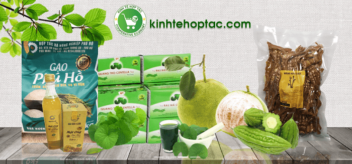 Thừa Thiên Huế: Khai trương sàn thương mại điện tử kinhtehoptac.com