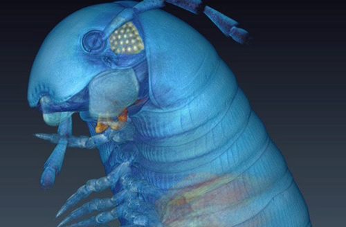 Ảnh chụp chi tiết "quái vật" ngoài hành tinh ngay tại Trái Đất