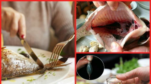 Chỉ mặt 5 bộ phận độc nhất của cá chứa đầy mầm bệnh, chớ dại mà ăn vào