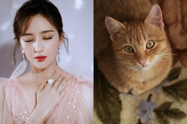 Được Phật "độ", 3 con giáp mở mắt trái thấy thần Tài, mở mắt phải gặp quý nhân, 49 ngày tới phát tài to