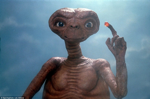 Kinh hãi khi phát hiện 'mặt người ngoài hành tinh' trong thân cây