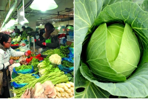 Dấu hiệu cà chua ,bắp cải chứa nhiều phân đạm ảnh hưởng đến sức khỏe, chị em nên cẩn trọng