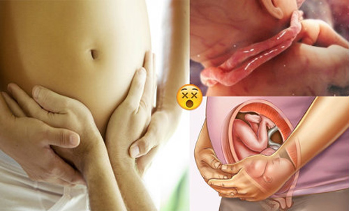 Những thói quen của bố tưởng tốt cho thai nhi nhưng lại hại con từng ngày, trẻ sinh ra còi cọc, khó nuôi