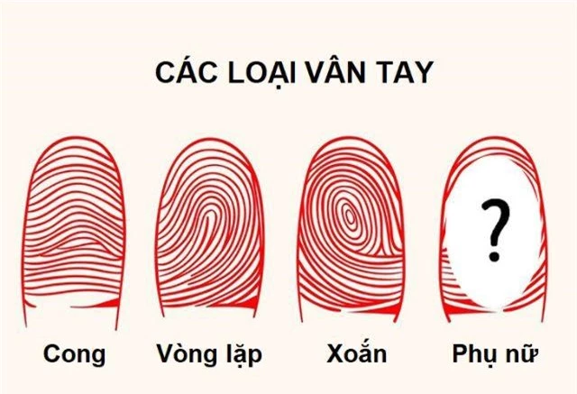 12 sự thật khó tin về cơ thể: phụ nữ có thể sinh 40 con, đàn ông cũng có sữa - 5