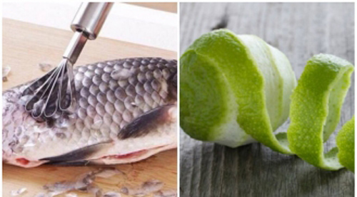 Cứ tiện tay vứt bỏ 4 món chữa được "bách bệnh" này chẳng khác gì quẳng cả "núi vàng" vào thùng rác