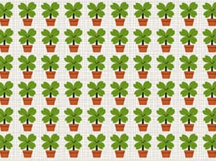 "Hoa mắt" vẫn không thể tìm ra đáp án đúng