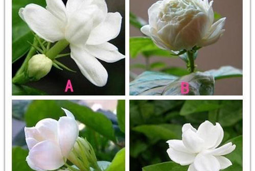 Trắc nghiệm: Bộ phận nào trên cơ thể bạn quyến rũ nhất?