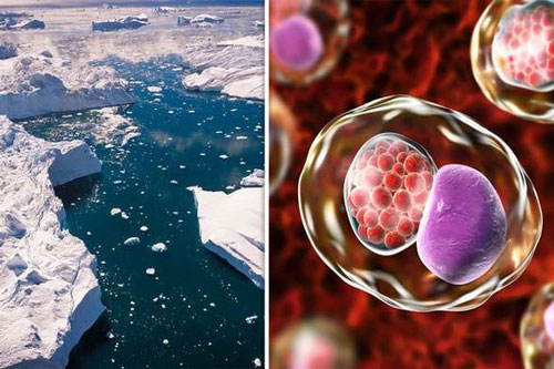 Phát hiện sinh vật bí ẩn mới: Sống sâu 3 km dưới đáy Bắc Băng Dương, không cần oxy