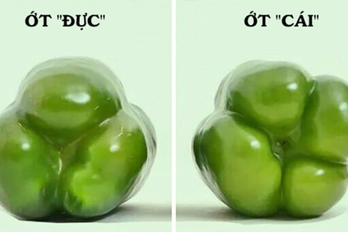 Những mẹo nhà bếp các chị em truyền tay nhau không ngớt, ai biết cũng bất ngờ