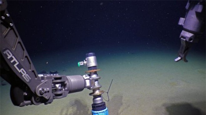 Phát hiện sinh vật bí ẩn mới: Sống sâu 3 km dưới đáy Bắc Băng Dương, không cần oxy - Ảnh 1.