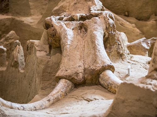 Bí ẩn những chuyện "rùng rợn" gây "sốc" đến khoa học cũng không lý giải được