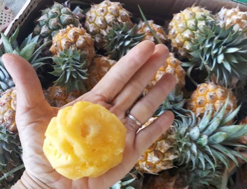 TPHCM: Dân sành ăn "đổ xô" mua dứa mini Thái giá cao