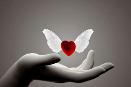 Phật dạy: "Là duyên, có xa cách mấy cũng gặp lại, là nợ, có trốn tránh cũng chẳng thể thoát ra"