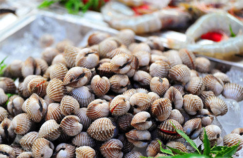 Cách làm sạch ốc, ngao, sò đơn giản không phải ai cũng biết