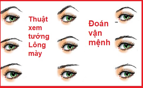 Xem tướng lông mày biết ngay tương lai sang- hèn, vận mệnh nhân duyên đều hiện rõ cả
