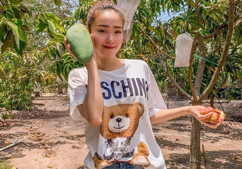 Quyền Linh, Minh Hằng và loạt nghệ sĩ sở hữu cơ ngơi hàng nghìn m2