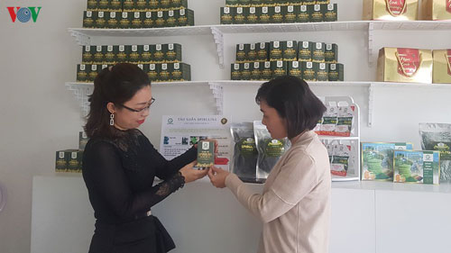 Đà Nẵng: Cô gái trẻ khởi nghiệp thành công từ nuôi trồng tảo xoắn Spirulin