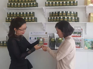 Đà Nẵng: Cô gái trẻ khởi nghiệp thành công từ nuôi trồng tảo xoắn Spirulin