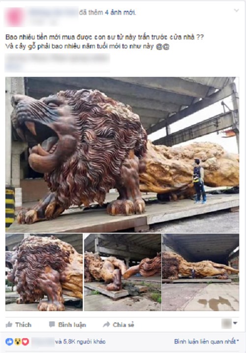 Sự thật ngỡ ngàng đằng sau bức tượng sư tử gỗ khổng lồ đang "nổi như cồn" trên MXH