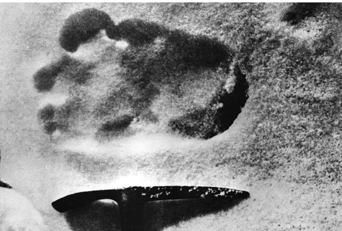 Hé lộ sự thật về huyền thoại người tuyết