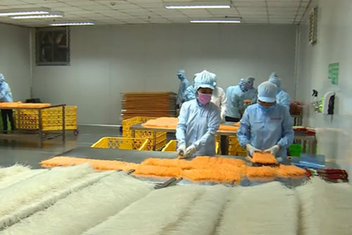 Bộ Nông nghiệp tăng cường giải pháp chế biến sâu các mặt hàng nông, lâm, thủy sản