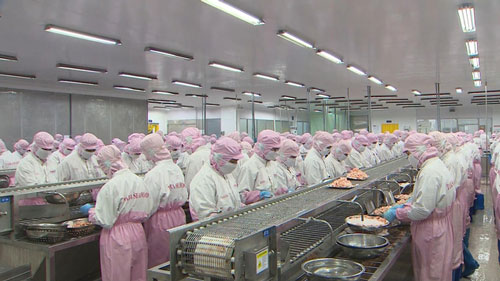 Xuất khẩu tôm duy trì đà tăng trưởng