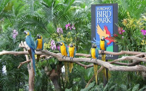 Top 10 khu bảo tồn chim nổi tiếng nhất thế giới, bất ngờ với vị trí của Việt Nam