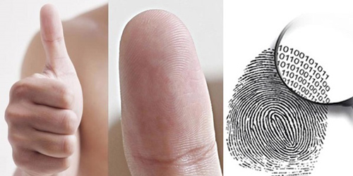 Cần gì phải đi xem bói: Đếm số hoa tay biết ngay số phận sang hèn, cực chuẩn xác