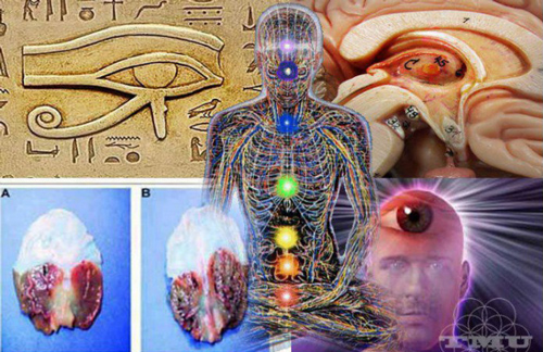 Giải mã hiện tượng tâm linh thần bí “kinh thiên động địa” ở Việt Nam