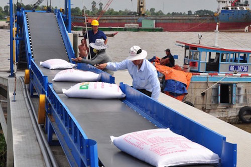 Giá gạo tăng theo tuần: Bình thường hay bất thường?