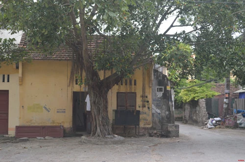 Cảnh sắc thâm trầm, cổ kính của làng Quảng Xá, nơi mà ngôi nhà cổ của gia đình ông Nguyễn Văn Mạch đã tồn tại hơn 100 năm.