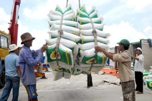 Sau hơn một năm luôn ở mức dưới 400 USD/tấn, giá gạo xuất khẩu loại 5% tấm hiện đã lên trên mức này (Ảnh Internet)