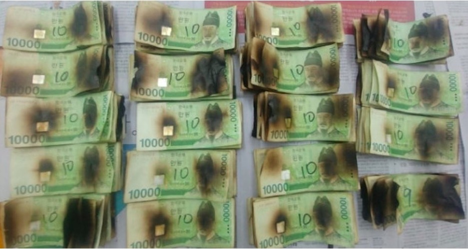 ''Khóc ròng' vì khử khuẩn tiền bằng lò vi sóng 'thời Covid-19'