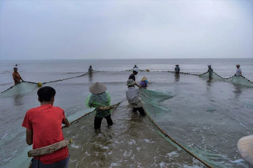 Dây thừng buộc vào hai đầu của tấm lưới, mỗi đầu có 10-12 người, cứ thế kéo lưới về bờ.