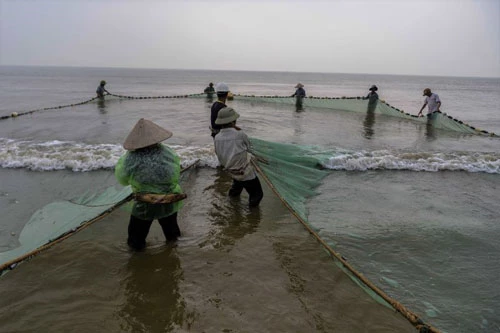 Nhiều người bảo nghề này là nghề đi giật lùi, vì để kéo được mẻ lưới vào bờ, người thợ kéo phải buộc một cái đai bằng gỗ vào lưng, một đầu buôc vào dây thừng nối với lưới, cứ vậy họ đi lùi dần kéo lưới vào bờ.