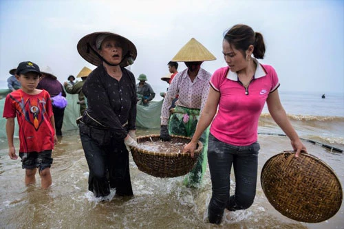 Cá tôm ven bờ ngày càng cạn kiệt. Cách đây 10 năm, mỗi mẻ lưới ngư dân thu cả tạ cá, bán được gần chục triệu đồng. Giờ đây mỗi mẻ nhiều nhất bán được 2 triệu đồng, nên một ngày thuận lợi mỗi thợ được chia 150.000 đến 200.000 đồng.