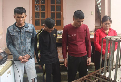 Nghệ An: Băng “cẩu tặc” thực hiện hơn 100 vụ đánh bả khiến chó, mèo chết hàng loạt