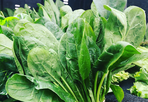 Loại rau rẻ tiền tăng cường miễn dịch, chống virus hiệu quả trong mùa Covid-19