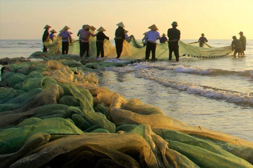 Vào ngày thời tiêt thuận lợi, ngư dân các xã vùng biển huyện Quảng Xương lại bắt đầu dong bè thả từng mẻ lưới quây.
