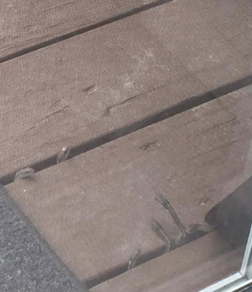 Dồn hết tiền mua ngôi nhà mơ ước, chưa kịp xây tổ ấm thì cặp vợ chồng tái mặt khi phát hiện hàng trăm "bé Na" dưới sàn nhà