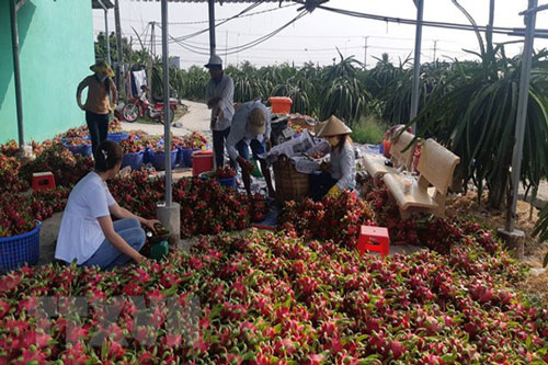 Đề nghị Trung Quốc mở cửa cho nhiều loại nông sản Việt